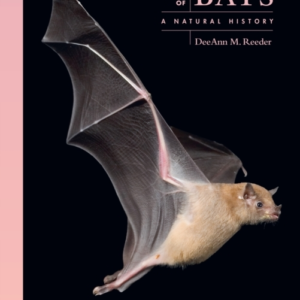 The Lives Of Bats A Natural History