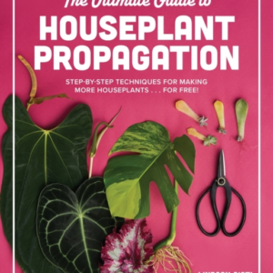 The Ultimate Guide To Houseplant Propagation Step-By-Step Te