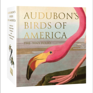 Audubon'S Birds Of America The Tiny Folio