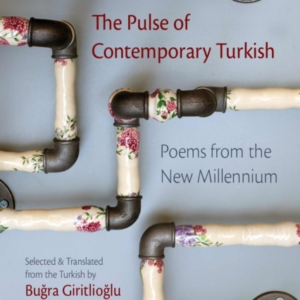 The Pulse Of Contemporary Turkish Poems From The New Millenn