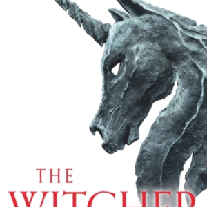 The Lady Of The Lake Witcher 5  -  Now A Major Netflix Show