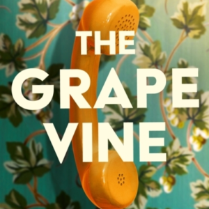 The Grapevine Winner Of The Stylist Prize For Feminist Ficti