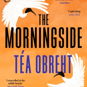 The Morningside Longlisted For The Climate Fiction Prize