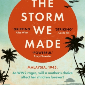The Storm We Made An Unputdownable And Heartbreaking World W