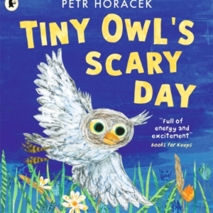 TINY OWL'S SCARY DAY