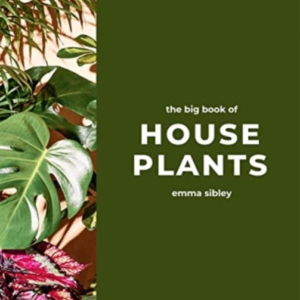 THE BIG BOOK OF HOUSE PLANTS