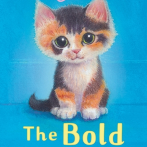 THE BOLD KITTEN