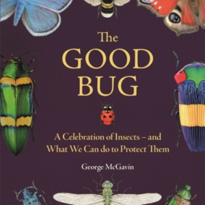 THE GOOD BUGA CELEBRATION OF INSECTS (AND WHAT WE CAN DO TO