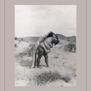Tate Photography Laura Aguilar