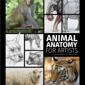 Animal Anatomy For Artistsa Visual Guide To The Form Of Mamm