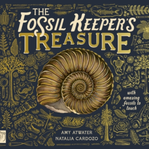 The Fossil Keeper'S Treasurewith Amazing Fossils To Touch