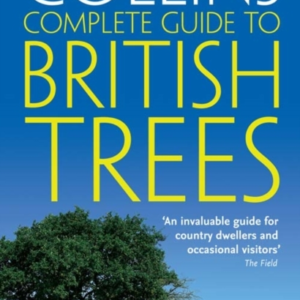 British Trees A Photographic Guide To Every Common Species