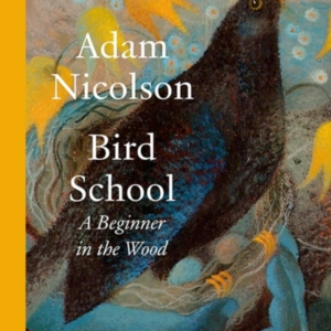 Bird School A Beginner In The Wood