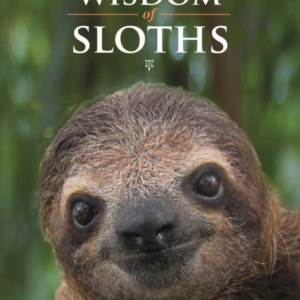 Wisdom Of Sloths