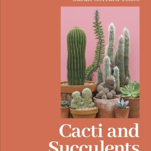Cacti And Succulents On-Point Advice To Keep Your Plants Loo