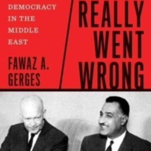 What Really Went Wrong The West And The Failure Of Democracy
