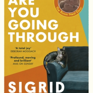 What Are You Going Through Now A Pedro Almodovar Film - The