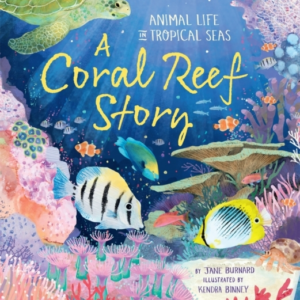 A Coral Reef Story Animal Life In Tropical Seas