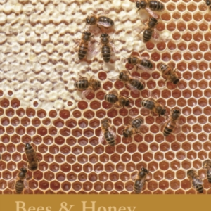 Bees & Honey River Cottage Handbook No.19