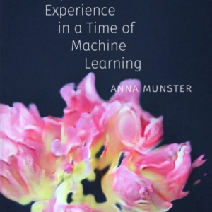 DEEPAESTHETICS COMPUTATIONAL EXPERIENCE IN A TIME OF MACHINE