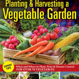 ULTIMATE GUIDE TO PLANTING & GROWING VEGETABLES AT HOME EXPE