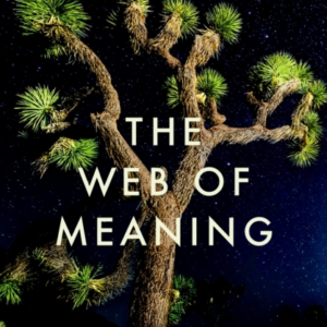THE WEB OF MEANINGINTEGRATING SCIENCE AND TRADITIONAL WISDOM