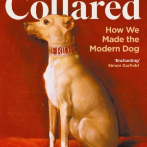 COLLAREDHOW WE MADE THE MODERN DOG