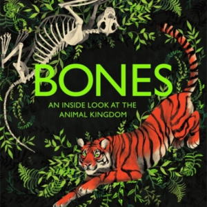 Bonesan Inside Look At The Animal Kingdom