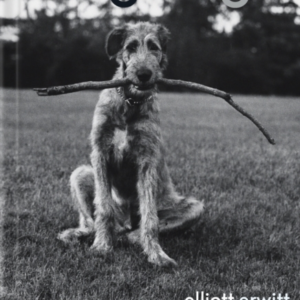 Dogdogs