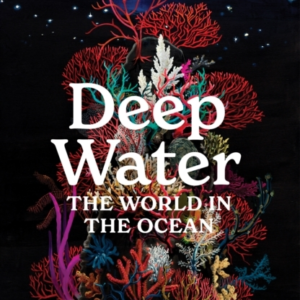 Deep Waterthe World In The Ocean