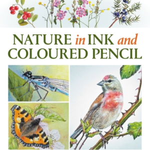 Nature In Ink And Coloured Pencil