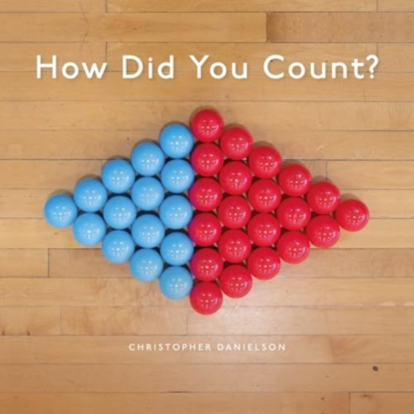 How Did You Count? Picture Book