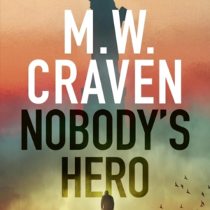 Nobody'S Hero
