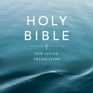 Gift And Award Bible