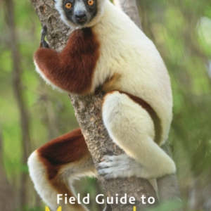 FIELD GUIDE TO MAMMALS OF MADAGASCAR