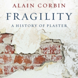 FRAGILITY A HISTORY OF PLASTER
