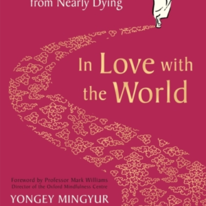 IN LOVE WITH THE WORLD WHAT A MONK CAN TEACH YOU ABOUT LIVIN