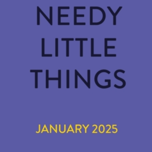 NEEDY LITTLE THINGS THE NEW YA THRILLER WITH A TWIST THAT WI