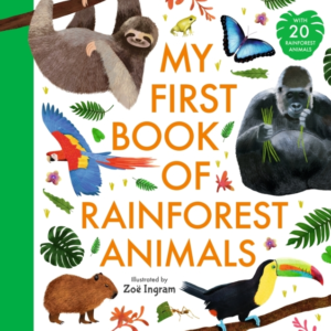 MY FIRST BOOK OF RAINFOREST ANIMALS
