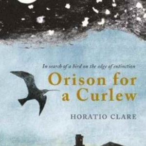 Orison For A Curlewin Search Of A Bird On The Edge Of Extinc