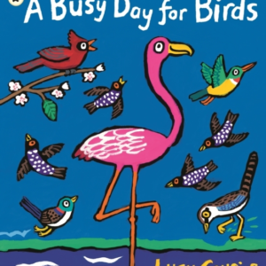 A Busy Day For Birds