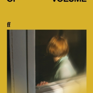 On The Calculation Of Volume I 'Absolutely, Absolutely Incre