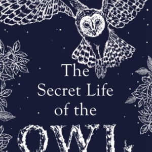 The Secret Life Of The Owl A Beautifully Illustrated And Lyr