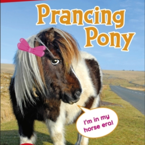 Dk Super Readers Level 2 Prancing Pony