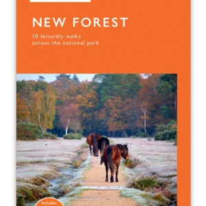 New Forest