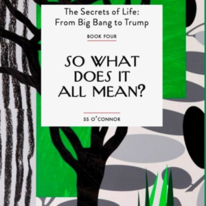 SO WHAT DOES IT ALL MEAN?