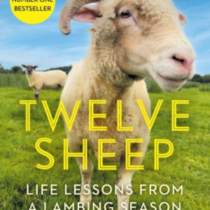 Twelve Sheeplife Lessons From A Lambing Season