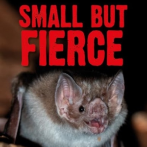 Ultimate Predators Small But Fierce