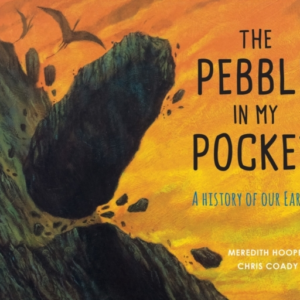 The Pebble In My Pocketa History Of Our Earth