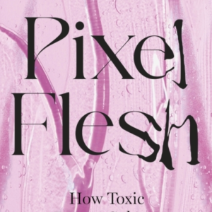 PIXEL FLESH THE DISTORTION OF THE FEMALE BODY IN A WORLD OBS